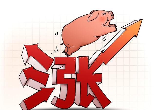 需求利空 豬價(jià)有震蕩調(diào)整需求 但很難明顯回落